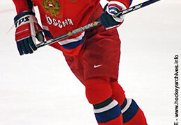 AFINOGENOV_Maxim-2005-1101053